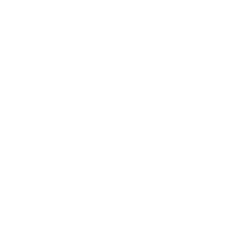 A green square with the words earth rider beer in it.